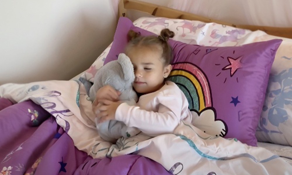 Young child asleep in bed holding the Froplay Koala Calm Buddy