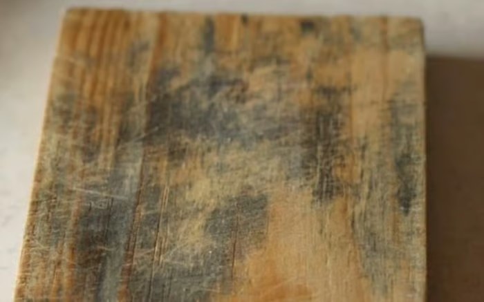 Vanotium titanium cutting board